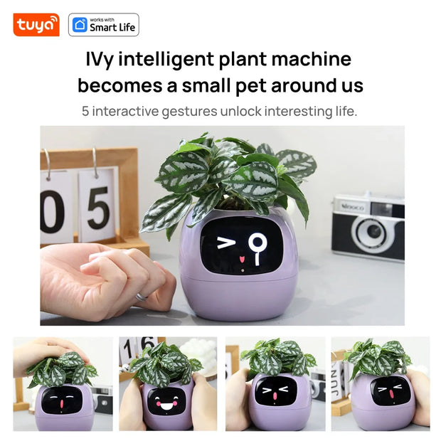 Ivy Ai The Smart Pet Planter Baby Vibes & Co.