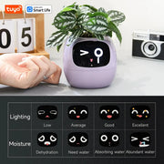 Ivy Ai The Smart Pet Planter Baby Vibes & Co.