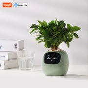 Ivy Ai The Smart Pet Planter Baby Vibes & Co.