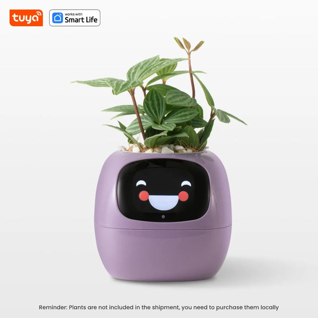 Ivy Ai The Smart Pet Planter Baby Vibes & Co.