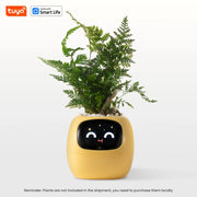 Ivy Ai The Smart Pet Planter Baby Vibes & Co.