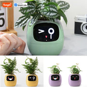 Ivy Ai The Smart Pet Planter Baby Vibes & Co.