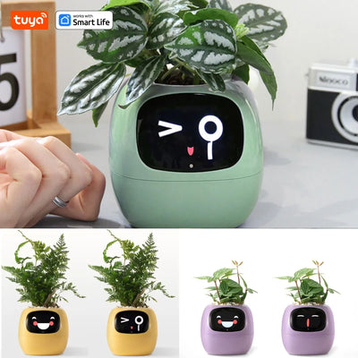 Ivy Ai The Smart Pet Planter Baby Vibes & Co.